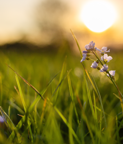 Libros que todo emprended@r debe leer este verano